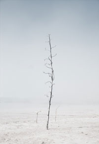 Izložba Mala galerija